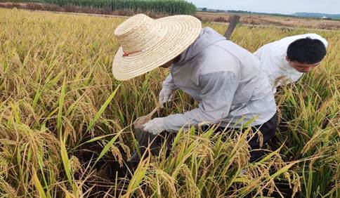 落实立德树人，重视实践育人——我院应用化学2020级1班开展毕业实习活动