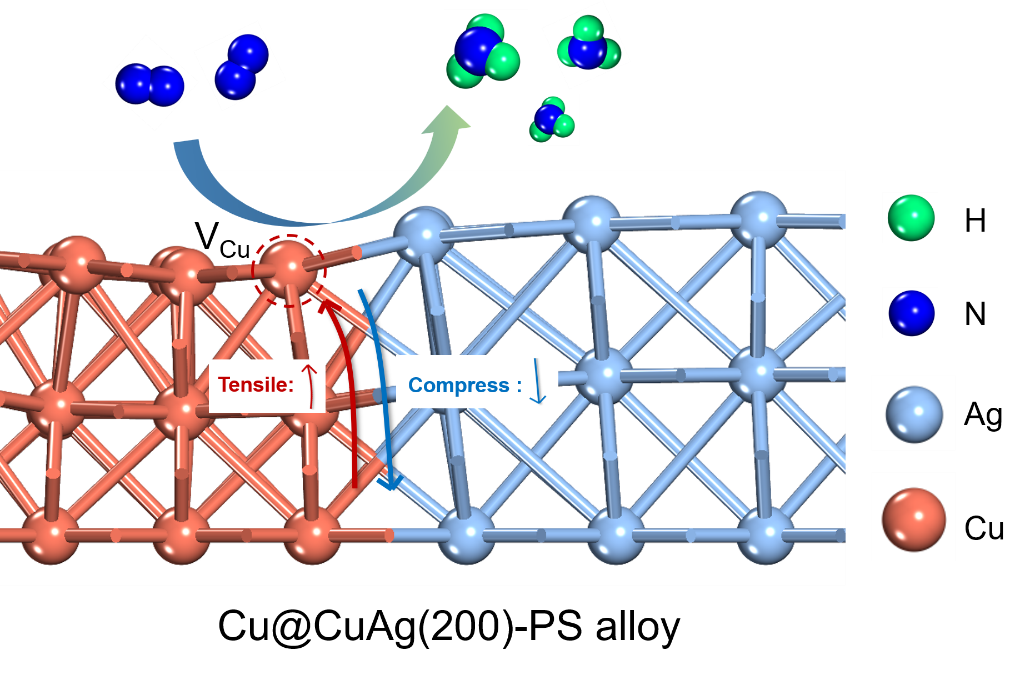 我院结构热力学与微纳化工团队在合金界面促进氨电合成取得新突破